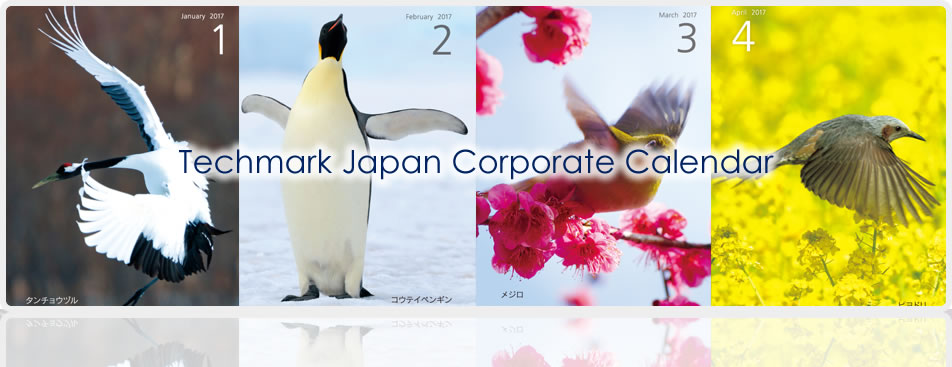 techmark japan corporate calendar